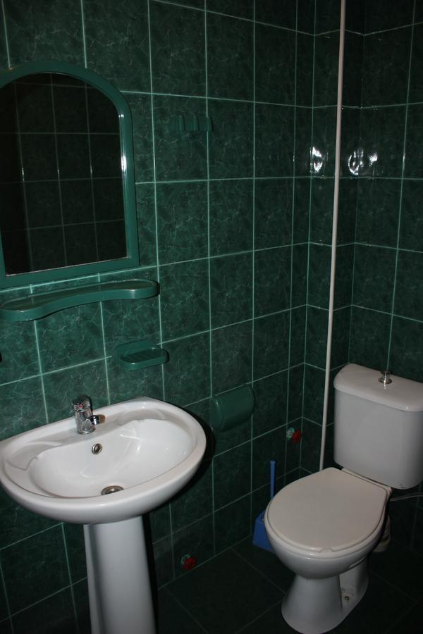 Firuza Hostel Borjomi Bagian luar foto
