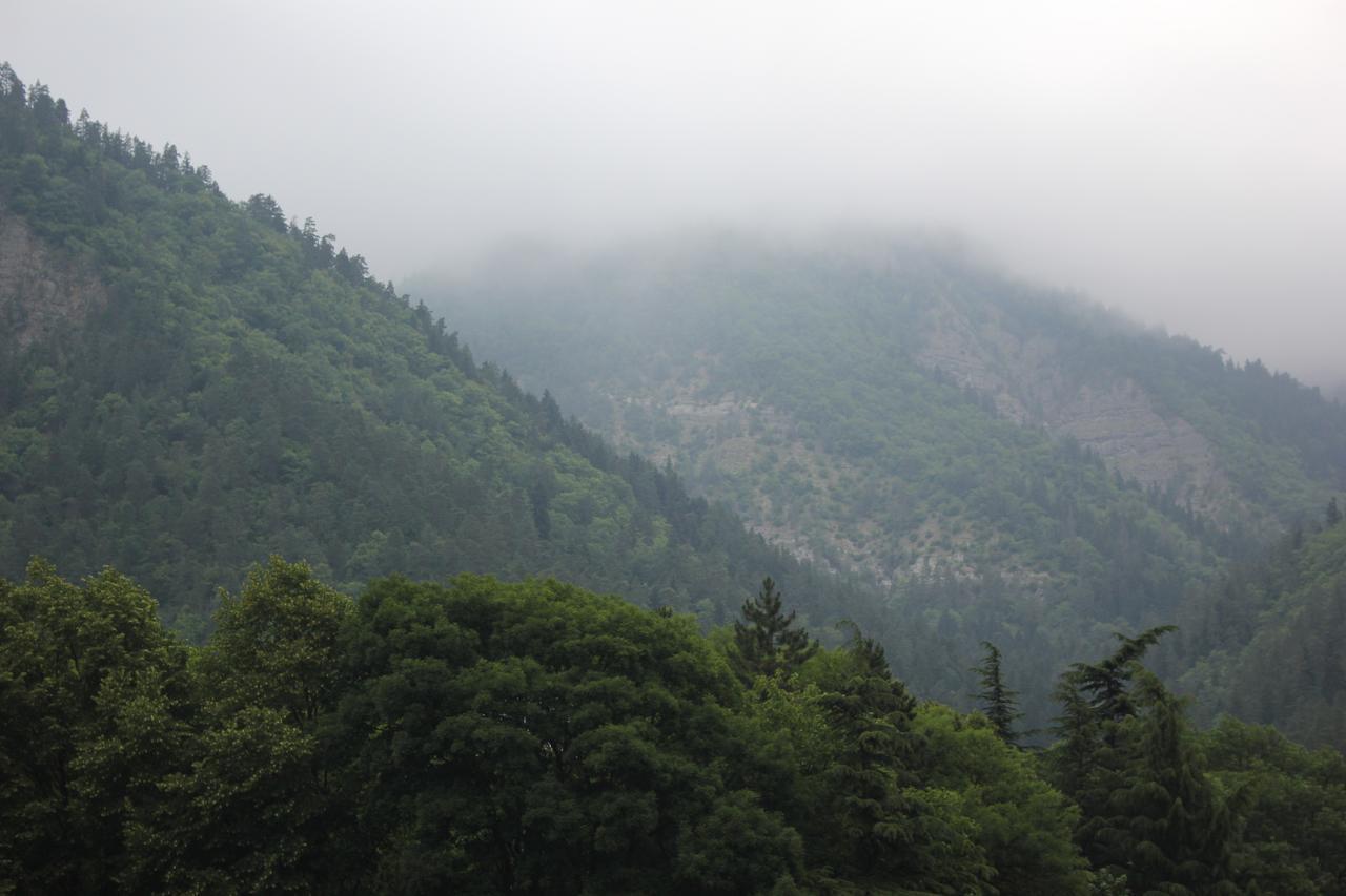 Firuza Hostel Borjomi Bagian luar foto